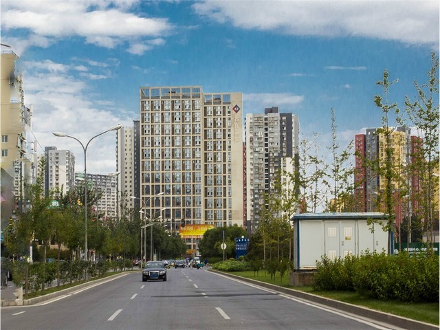 广州有机无土栽培